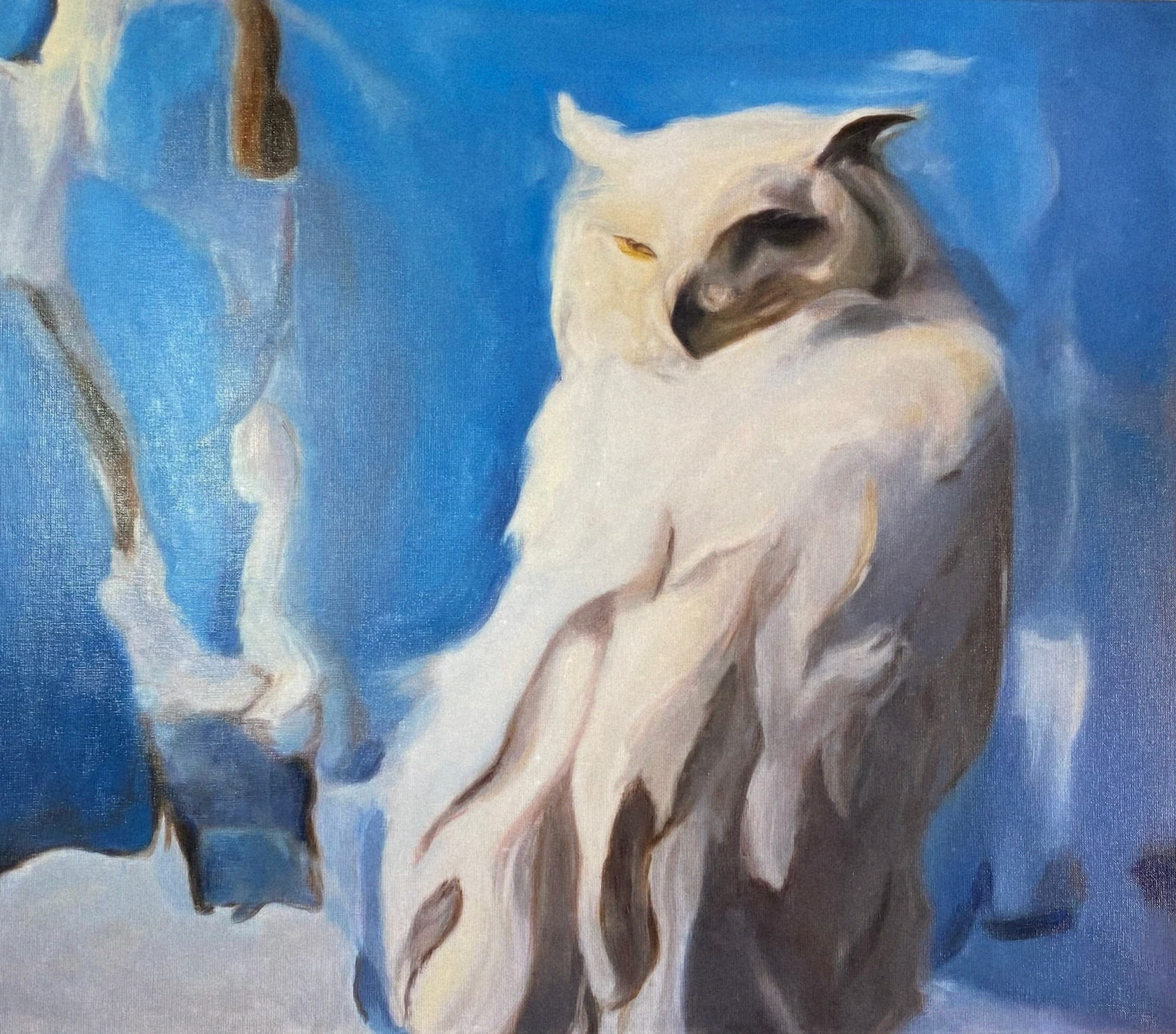 Snow Owl